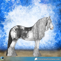 Horse Color:White Spotted Black Rabicano