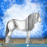 Horse Color:White Spotted Grullo Sabino 