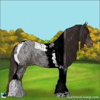 Horse Color:Liver Chestnut Ice Tobiano