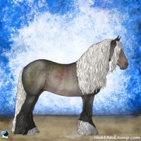 Horse Color:Liver Chestnut Mushroom Rabicano 