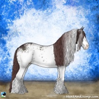 Horse Color:White Spotted Chocolate Black Ice Sabino 