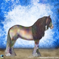 Horse Color:Nacre Brown Onyx Sabino 