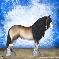 Horse Color:Bay Onyx Sabino Rabicano 
