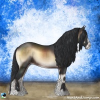 Horse Color:Brown Onyx Sabino Rabicano 