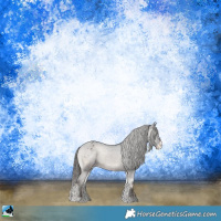 Horse Color:Blue Onyx Sabino Appaloosa Rabicano 