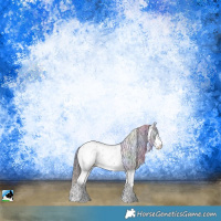 Horse Color:Nacre Black Ice Sabino Rabicano 