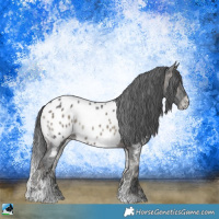 Horse Color:Brown Ice Onyx Sabino Appaloosa 