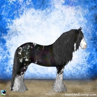 Horse Color:Midnight Blue Onyx Ice Sabino 