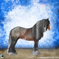 Horse Color:Brown Ice Sabino Rabicano