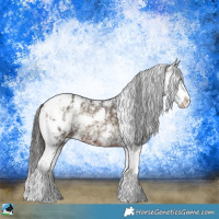 Horse Color:Brown Ice Onyx Sabino Appaloosa 
