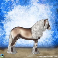 Horse Color:Liver Red Onyx Mushroom Rabicano