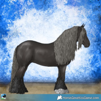 Horse Color:Liver Chestnut Mushroom 