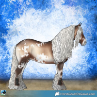Horse Color:White Spotted Liver Red Onyx Mushroom Rabicano 