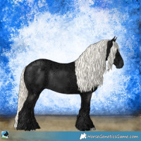 Horse Color:Liver Chestnut Ice Mushroom Rabicano