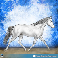 Horse Color:Blue Onyx Ice Sabino