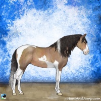 Horse Color:Sable Champagne Splash Tobiano