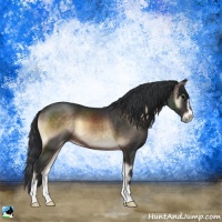 Horse Color:Brown Onyx Sabino