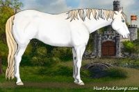 Horse Color:White Spotted Buckskin Pearl Dun 