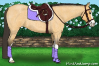 Horse Color:Buckskin Roan Sabino