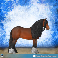 Horse Color:Brown Tobiano Rabicano