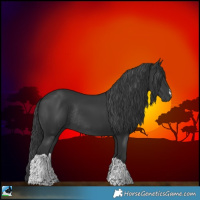 Horse Color:Black Tobiano Rabicano 