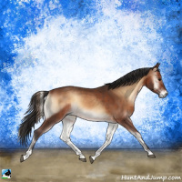 Horse Color:Brown Onyx