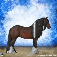 Horse Color:Brown Tobiano Rabicano