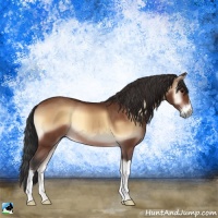 Horse Color:Brown Onyx