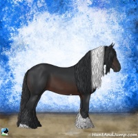 Horse Color:Brown Tobiano Rabicano 