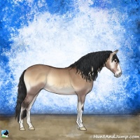 Horse Color:Brown Onyx 