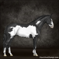 Horse Color:Black Frame 