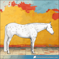 Horse Color:White Spotted Silver Smoky Black Sabino 