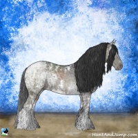 Horse Color:White Spotted Grullo Ice 