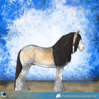 Horse Color:White Spotted Buckskin Ice Onyx Tobiano Rabicano 