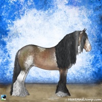 Horse Color:White Spotted Brown Dun 
