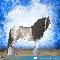 Horse Color:White Spotted Brown Dun Varnish Rabicano 