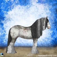 Horse Color:White Spotted Grullo Ice Sabino Rabicano 