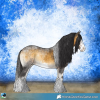 Horse Color:Buckskin Ice Onyx Sabino Splash Rabicano 