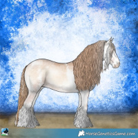 Horse Color:Perlino Ice Onyx Sabino Rabicano 