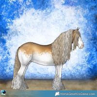 Horse Color:White Spotted Chocolate Palomino Onyx Sabino Rabicano 