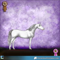 Horse Color:Blue Onyx Sabino Fewspot Rabicano 
