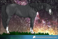 Horse Color:Black Sabino