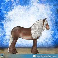 Horse Color:Liver Chestnut Mushroom 