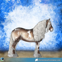 Horse Color:White Spotted Liver Red Onyx Mushroom Rabicano 