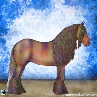 Horse Color:Nacre Chocolate Brown Rabicano