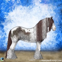 Horse Color:White Spotted Chocolate Brown Chinchilla Ice Tobiano Rabicano 