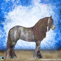 Horse Color:Nacre Chocolate Brown Chinchilla Ice Onyx Sabino Rabicano 