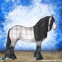 Horse Color:Plaid  Bay Chinchilla 