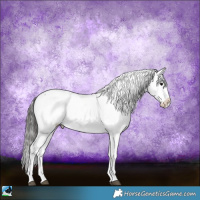 Horse Color:Blue Onyx Sabino Appaloosa 