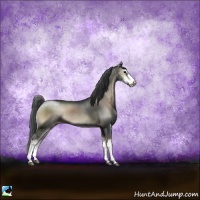 Horse Color:Blue Onyx Sabino 